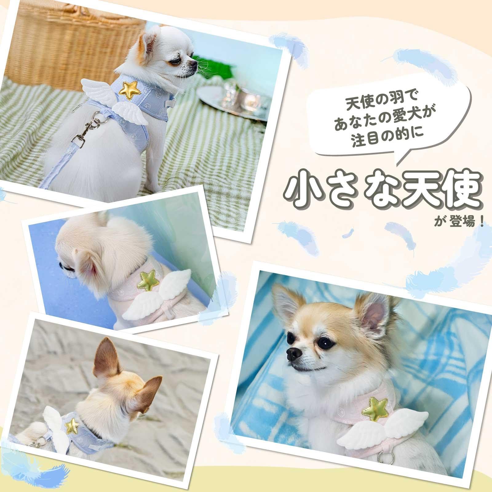 Amazon | CLOGRATIA チワワ ハーネス パピー用ハーネス リード